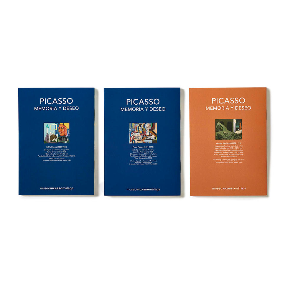 Set de cuadernos Picasso Memoria y Deseo