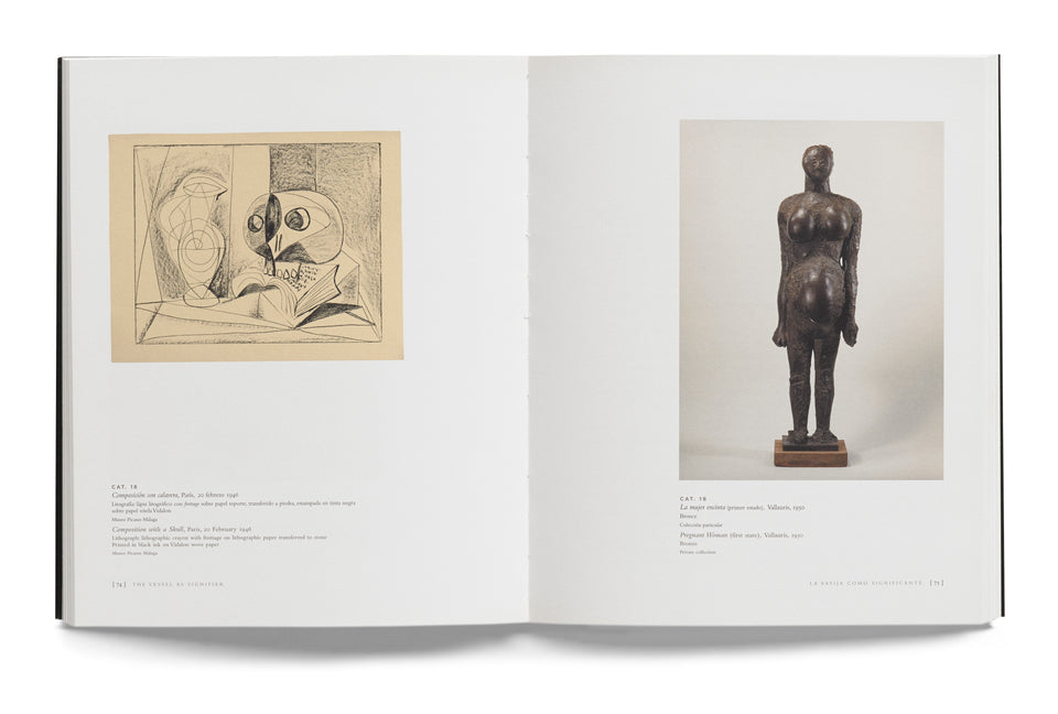 Picasso. Objeto e imagen