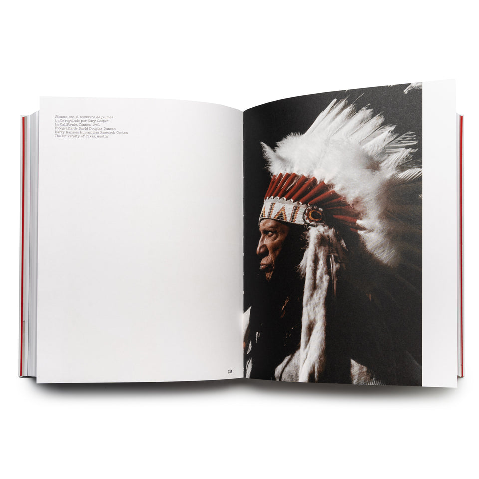 Museo Picasso Málaga. Colección 2017-2020