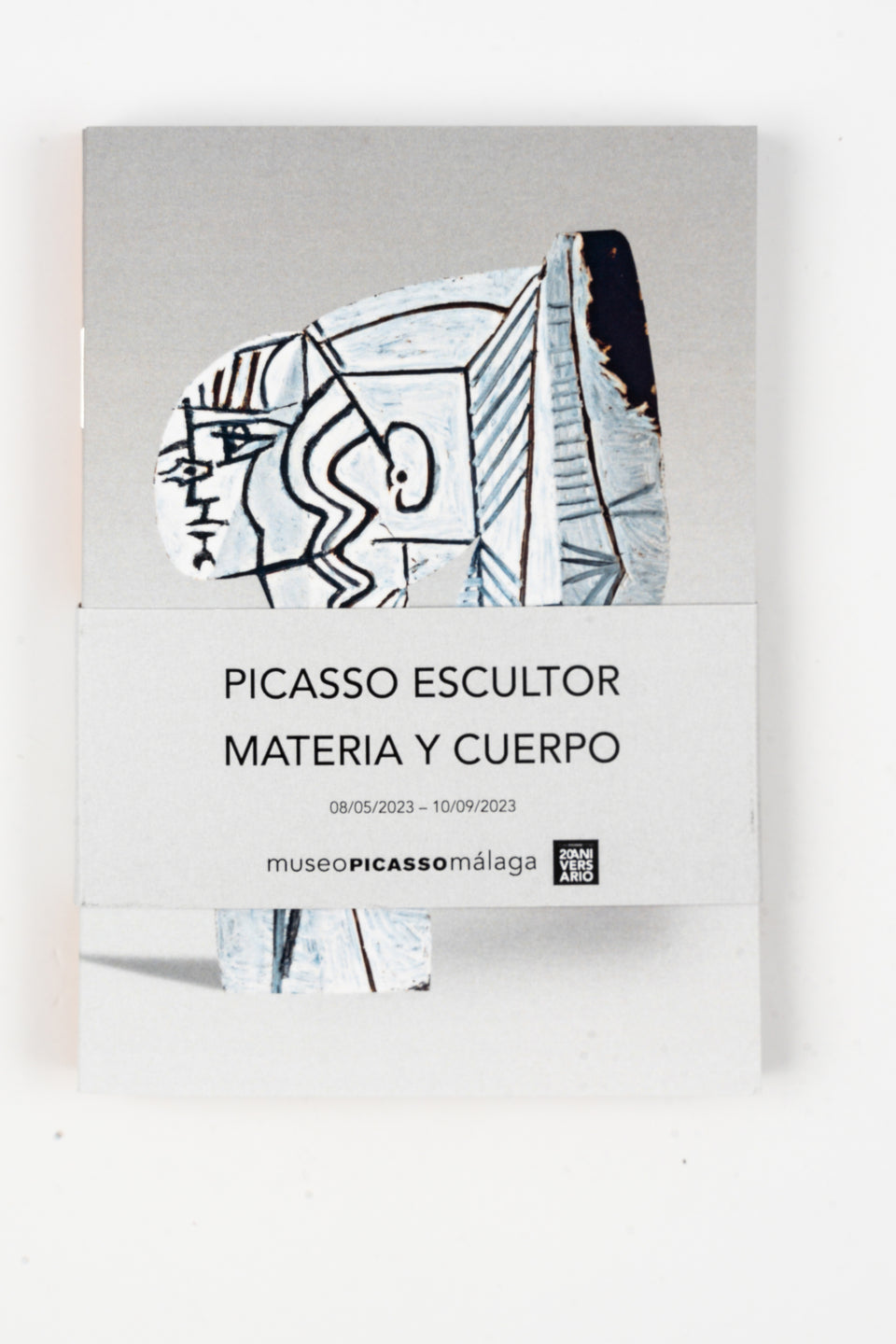 Picasso Sculptor Notebook set