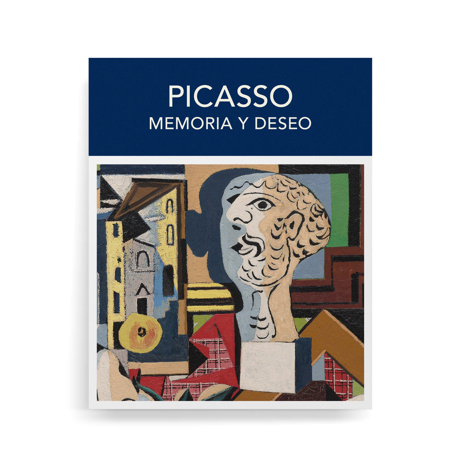 Catálogo Picasso Memoria y deseo